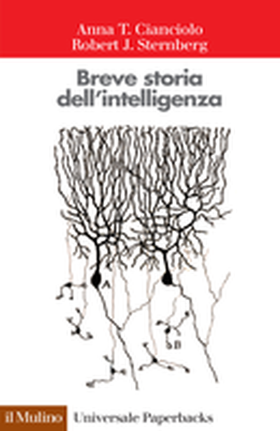 Cover Breve storia dell'intelligenza